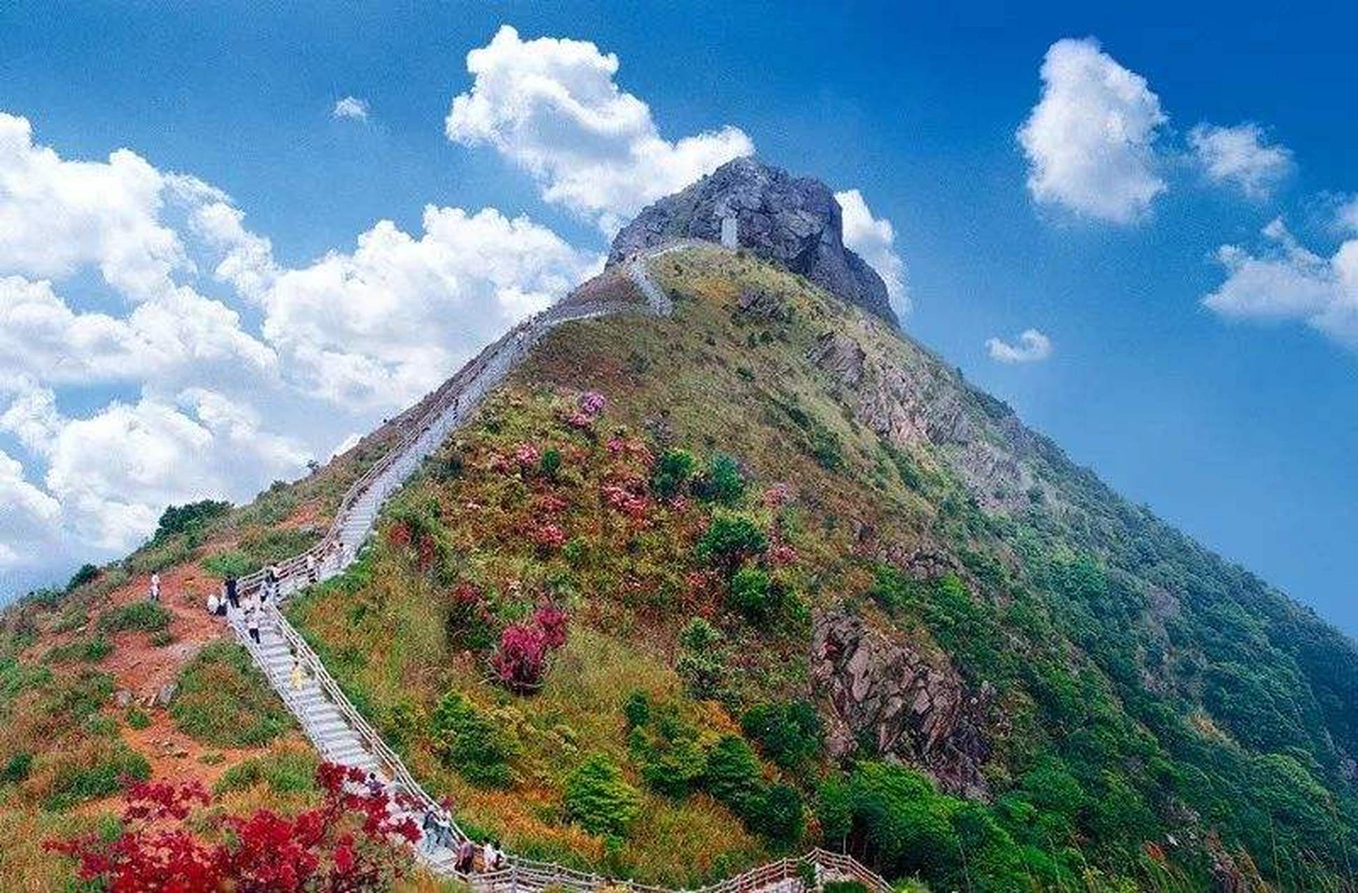 凌晨突发！东莞3人被困深山，官方展开救援…
