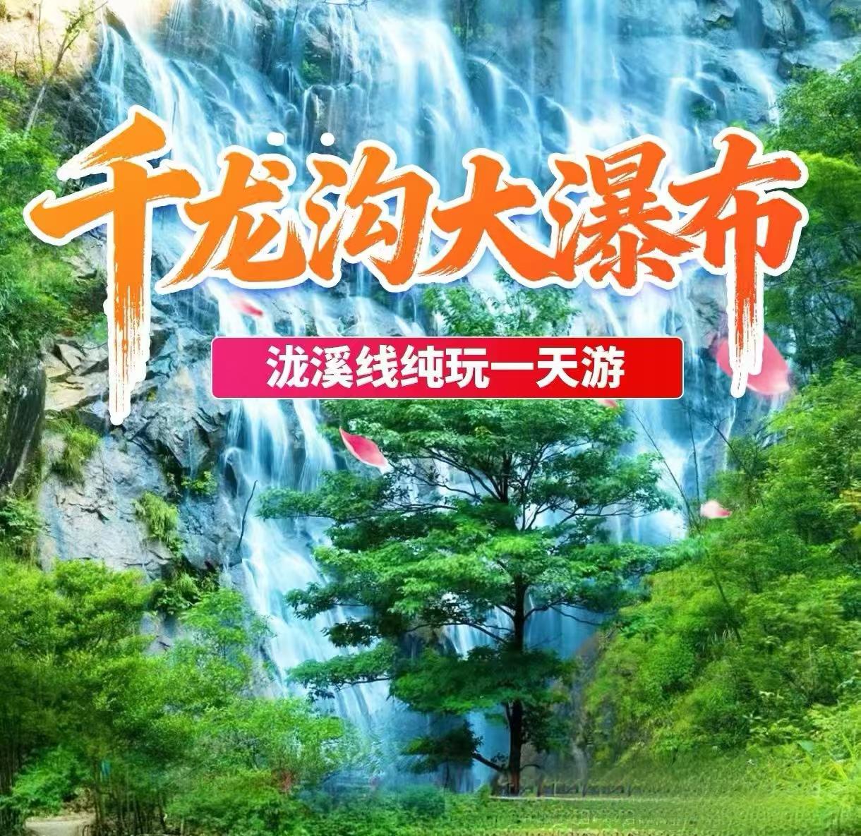 8.9日【泷溪线】徒步穿越千泷沟大瀑布，行摄万亩竹海，吃竹筒饭，溯溪玩水